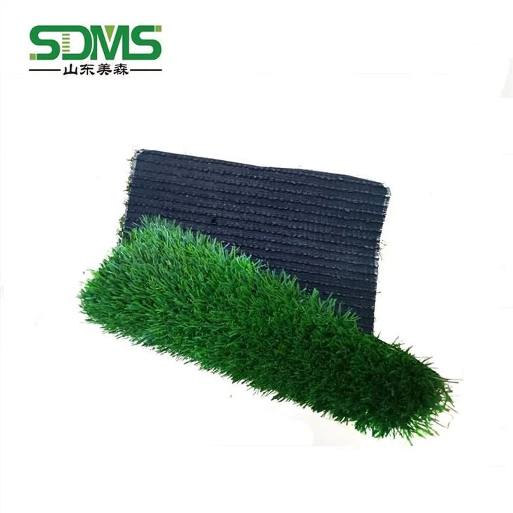 landscape grass 002