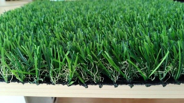 landscape grass1_