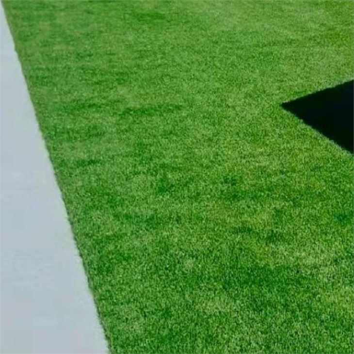 Fake Grass Artificial Turf Roll