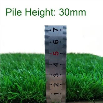 Pajsaġġ ta 'ġewwa ta' barra naturali Green Lawn