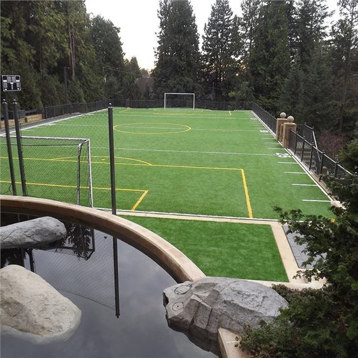 soccer field
